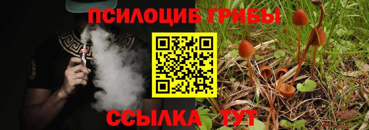 Галлюциногенные грибы Psilocybe  Псилоцибиновые грибы MAGIC MUSHROOMS  Мончегорск  Вход с VPN 