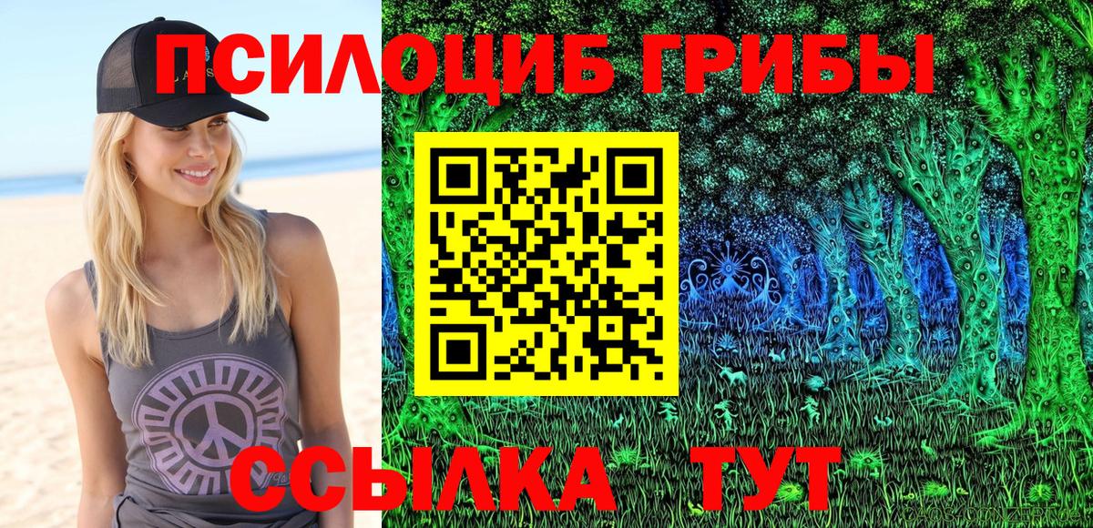 Галлюциногенные грибы Cubensis Мончегорск